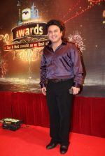 Ali Asgar at ITA Awards in Mumbai on 23rd Oct 2013